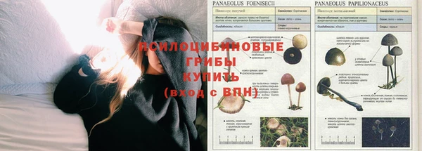 ешки Михайловка