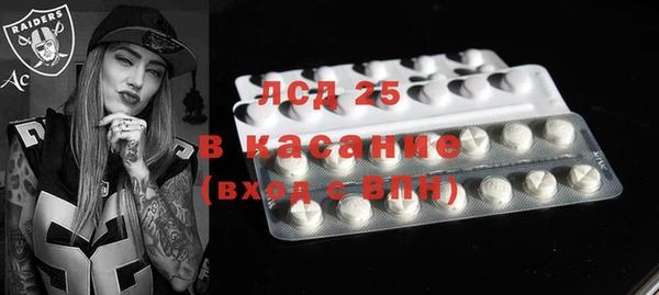 стаф Михайлов